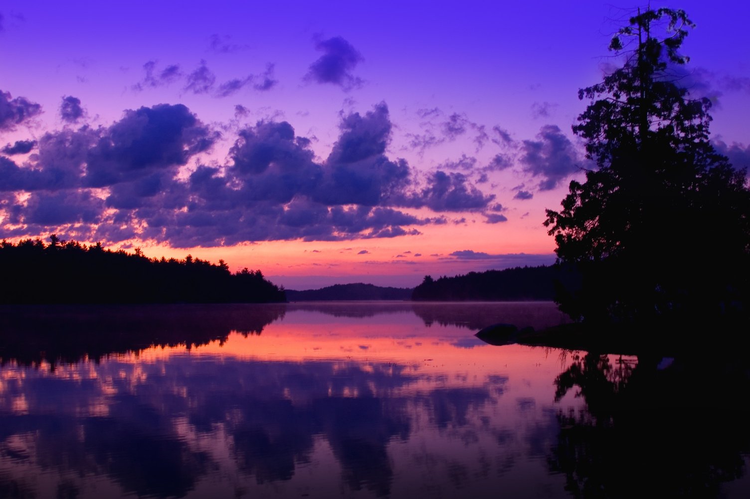 Purple Night Sky